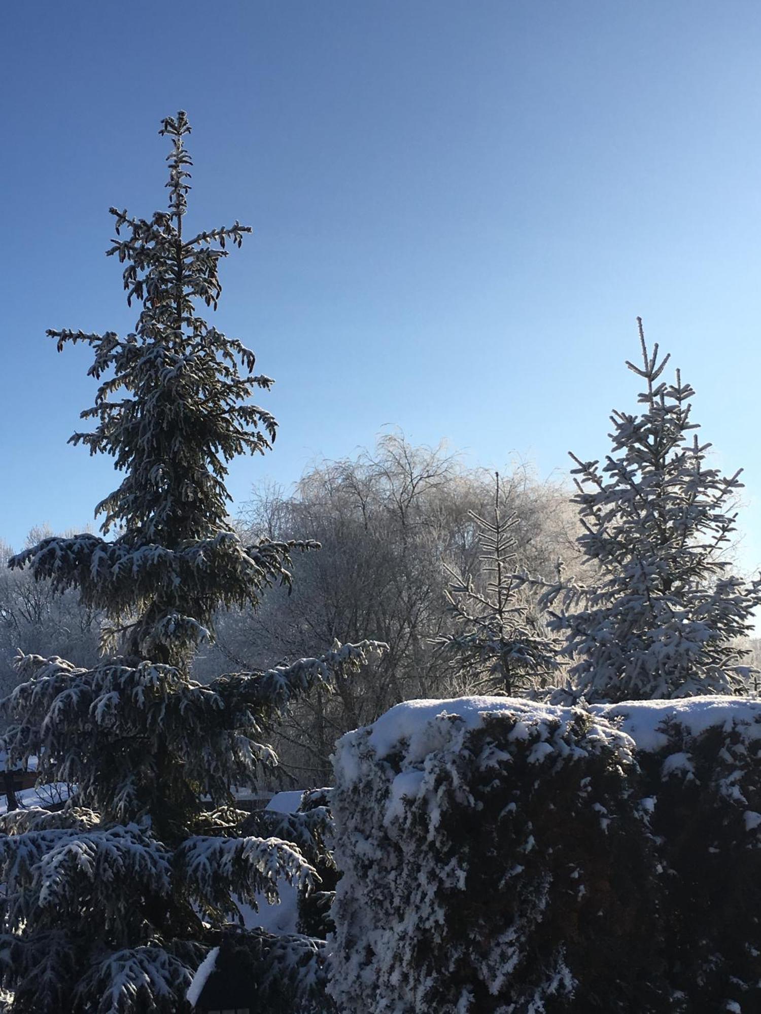 Фільварок Кмитів Hotel Velyki Kosharishcha Bagian luar foto